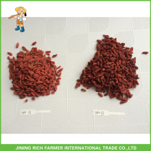 Secado Goji Berry Exportador na China Goji Berry 380g grãos / 50g Preço Baixo
